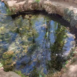 Fuente del Marqués - Totana