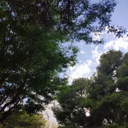 Parque Municipal de Totana - Totana