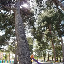 Parque Municipal de Totana - Totana