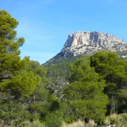 Parque Regional de Sierra Espuña - Totana