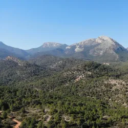 Parque Regional de Sierra Espuña - Totana