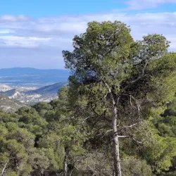 Parque Regional de Sierra Espuña - Totana