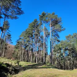 Hiking Trails in Valdegovía - Valdegovía (Gaubea)