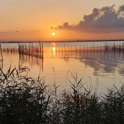 Albufera Natural Park - Valencia