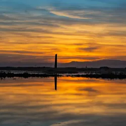 Albufera Natural Park - Valencia