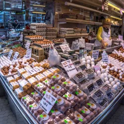 Central Market (Mercado Central) - Valencia
