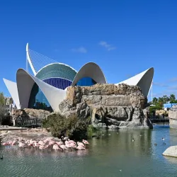 Oceanogràfic - Valencia