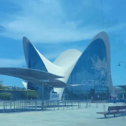 Oceanogràfic - Valencia