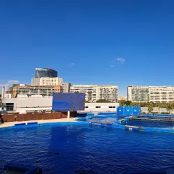 Oceanogràfic - Valencia
