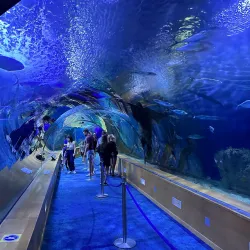 Oceanogràfic - Valencia