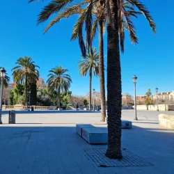 Turia Gardens (Jardín del Turia) - Valencia