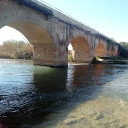 Turia Gardens (Jardín del Turia) - Valencia