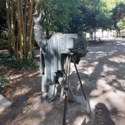 Campo Grande - Valladolid