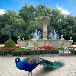 Campo Grande - Valladolid