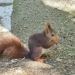 Campo Grande - Valladolid