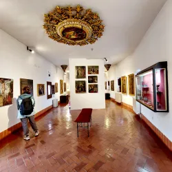 Museum of Valladolid (Museo de Valladolid) - Valladolid