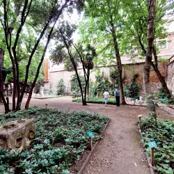 Museum of Valladolid (Museo de Valladolid) - Valladolid