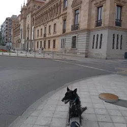 Plaza Mayor - Valladolid