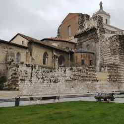 Valladolid Cathedral (Catedral de Nuestra Señora de la Asunción) - Valladolid