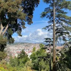 Castro Fortress (Castelo do Castro) - Vigo