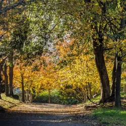 Parque de Castrelos - Vigo