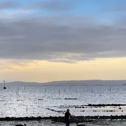 Playa de Compostela - Vilagarcia de Arousa