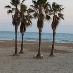 Platja de Ribes Roges - Vilanova i la Geltru