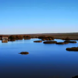 Bird Watching Opportunities - Villalba de Guardo