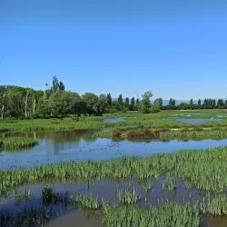 Salburua Wetlands - Vitoria-Gasteiz