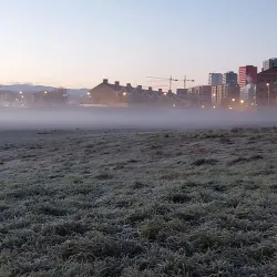 Salburua Wetlands - Vitoria-Gasteiz