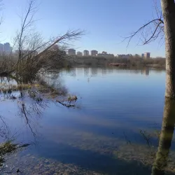 Salburua Wetlands - Vitoria-Gasteiz