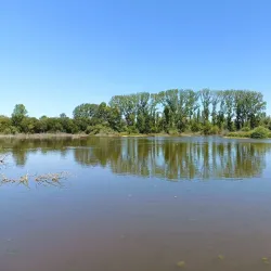 Salburua Wetlands - Vitoria-Gasteiz