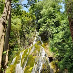 Parque de la Constitución - Viver