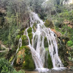 Parque de la Constitución - Viver
