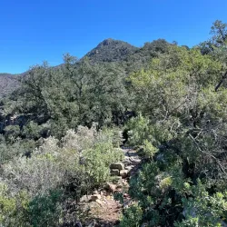 Parque Natural de la Sierra de Espadán - Viver