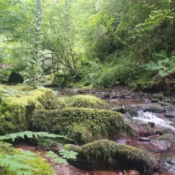 Ruta de los Molinos - Viver