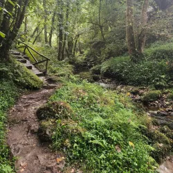 Ruta de los Molinos - Viver