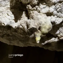 Cueva de los Murciélagos - Viznar