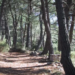 Mirador de Viznar - Viznar