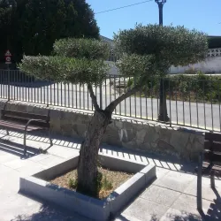 Plaza Mayor de Viznar - Viznar