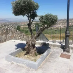 Plaza Mayor de Viznar - Viznar