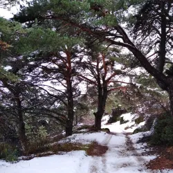 Sierra Nevada Hiking Trails - Viznar
