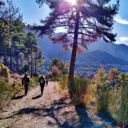 Sierra Nevada Hiking Trails - Viznar