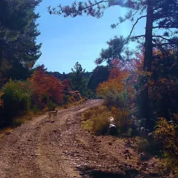 Sierra Nevada Hiking Trails - Viznar