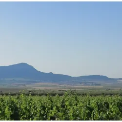 Bodegas Castaño - Yecla