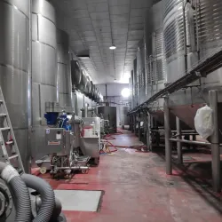 Bodegas Castaño - Yecla