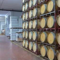 Bodegas Castaño - Yecla