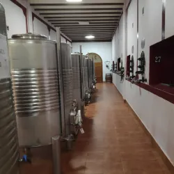 Bodegas Castaño - Yecla