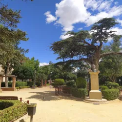 Parque de la Constitución - Yecla