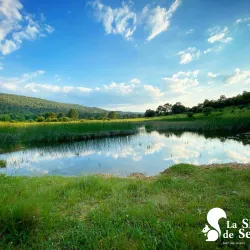 Parque Natural de las Sierras de Cazorla, Segura y Las Villas - Yecla